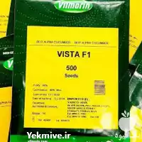 پخش بذر خیار ویستا بذر پر فروش در اصفهان در گروه خرید و فروش بذر خیار در یکمیوه