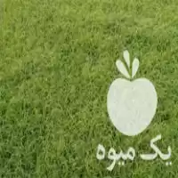 فروش نشاء برنج طارم در مازندران در گروه خرید و فروش نشا در یکمیوه