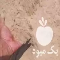 فروش خاک اره مخلوط در گروه خرید و فروش خاک اره در یکمیوه