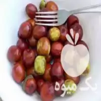 فروش نهال عناب خرمایی خاف در گروه خرید و فروش نهال عناب در یکمیوه