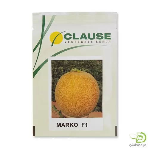 قیمت خرید بذر گالیا در خوزستان در گروه خرید و فروش انواع بذر در یکمیوه -عکس1