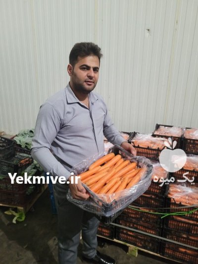 فروش هویج صادراتی در دزفول در گروه خرید و فروش هویج در یکمیوه -عکس2