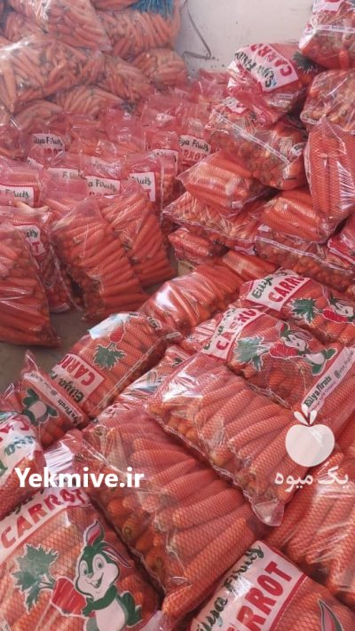 فروش هویج صادراتی در دزفول در گروه خرید و فروش هویج در یکمیوه -عکس3