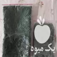 فروش شوید پاک شده و خرد شده و فریز شده در مازندران در گروه خرید و فروش انواع سبزی ها در یکمیوه