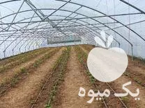 قیمت خرید سازه گلخانه با لوازم لوله کشی داخل سازه در خراسان شمالی در گروه خرید و فروش سوله و سازه گلخانه در یکمیوه -عکس1
