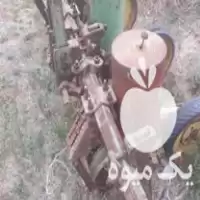 فروش دستگاه کاشت چغندر در قزوین در گروه خرید و فروش چغندر در یکمیوه