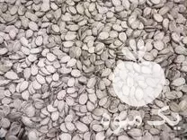 قیمت خرید تخمه هندوانه در گلستان در گروه خرید و فروش انواع تخمه در یکمیوه -عکس1