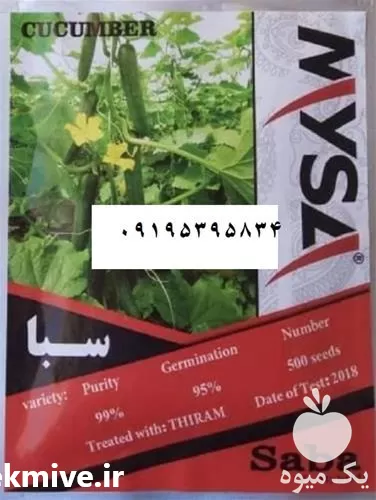 قیمت خرید بذر خیار گلخانه سبا در آذربایجان شرقی در گروه خرید و فروش بذر خیار در یکمیوه -عکس1