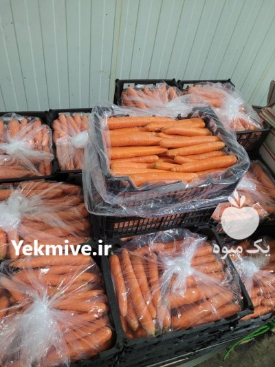 فروش هویج صادراتی مرغوب در دزفول در گروه خرید و فروش هویج در یکمیوه -عکس1