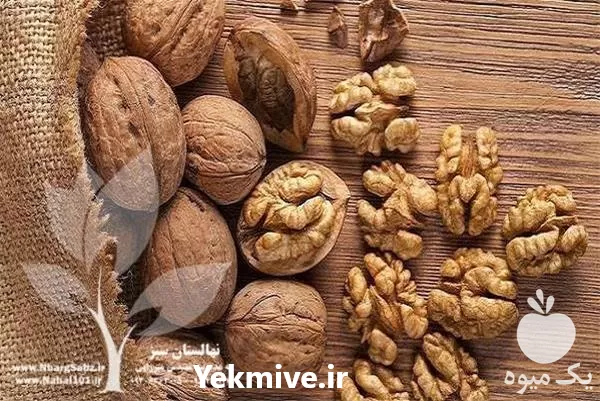 قیمت خرید عمده نهال گردو در خراسان رضوی در گروه خرید و فروش نهال گردو در یکمیوه -عکس1