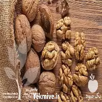 قیمت خرید عمده نهال گردو در خراسان رضوی در گروه خرید و فروش نهال گردو در یکمیوه