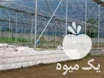 فروش سازه گلخانه در مازندران در گروه خرید و فروش سوله و سازه گلخانه در یکمیوه -عکس1