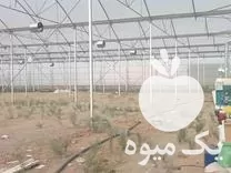 فروش سازه گلخانه اسپانیایی در خراسان رضوی در گروه خرید و فروش سوله و سازه گلخانه در یکمیوه -عکس1