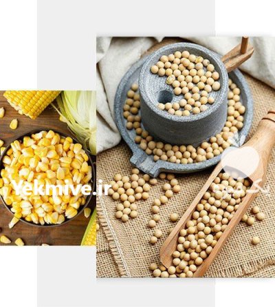 خوراک دام و طیور در تهران در گروه خوراک دام و طیور در یکمیوه -عکس1