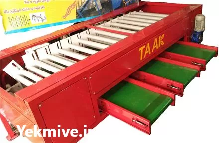 خط سورتینگ میوه گوجه سبز در گروه سورتینگ در یکمیوه -عکس1