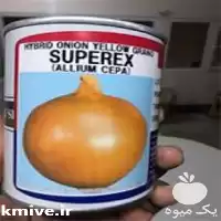 فروش بذر پیاز تاکی در همدان در گروه خرید و فروش بذر پیاز در یکمیوه