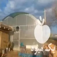 قیمت خرید سازه گلخانه با تمام امکانات در آذربایجان غربی در گروه خرید و فروش سوله و سازه گلخانه در یکمیوه