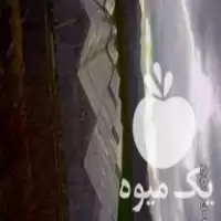 اجاره گلخانه یا فروش سازه فلزی در آذربایجان غربی در گروه اجاره فروش گلخانه در یکمیوه