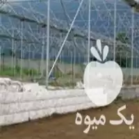فروش سازه گلخانه در مازندران در گروه خرید و فروش سوله و سازه گلخانه در یکمیوه