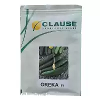 قیمت خرید اورکا کلوز بذر خیار در گروه خرید و فروش بذر خیار در یکمیوه