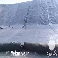 فروش استثنایی و نصب ورق ژئوممبران و ژئوتکستایل در اصفهان در گروه خرید و فروش ژئوممبران در یکمیوه