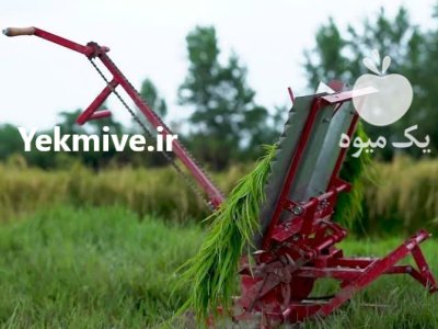 نشاکار دستی برنج در گروه خرید و فروش دستگاه نشا در یکمیوه -عکس1
