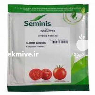 بذر گوجه فرنگی برنتا در فارس در گروه خرید و فروش بذر گوجه در یکمیوه -عکس1