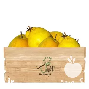 خرید نهال گلابی سیبری و در تبریز در گروه خرید و فروش نهال گلابی در یکمیوه -عکس1