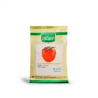 قیمت خرید بذر گوجه میلان در اردبیل در گروه خرید و فروش بذر گوجه در یکمیوه