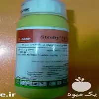 فروش عمده سم قارچ کش استروبی در گروه خرید و فروش انواع سم در یکمیوه
