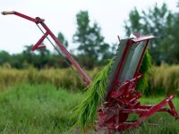 نشاکار دستی برنج در گروه خرید و فروش دستگاه نشا در یکمیوه