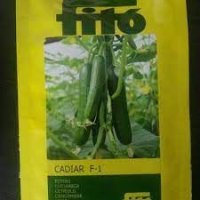 بذر خیار کادیار در کرمان  در گروه خرید و فروش بذر خیار در یکمیوه