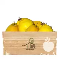 خرید نهال گلابی سیبری و در تبریز در گروه خرید و فروش نهال گلابی در یکمیوه