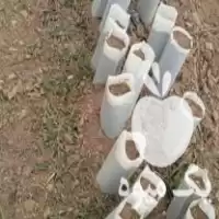 کاشت نهال در گروه خدمات باغبانی در یکمیوه