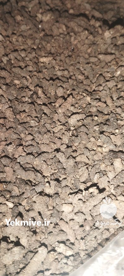 کود خفاش اصلی اصلی طبیعی طبیعی در گنبد کاووس در گلستان در گروه خرید و فروش کود خفاش در یکمیوه -عکس2