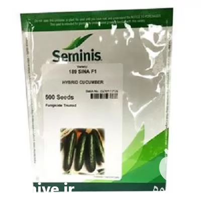 عرضه بذر خیار گلخانه ای در گروه خرید و فروش بذر خیار در یکمیوه -عکس1