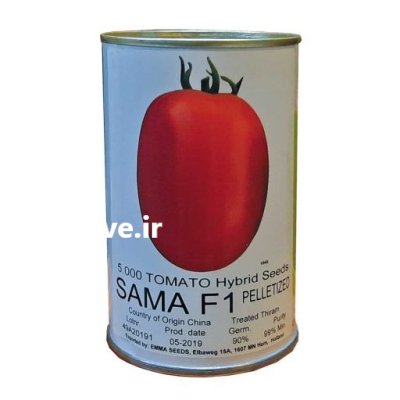 بذر گوجه فرنگی سما در رودبار در گروه خرید و فروش بذر گوجه در یکمیوه -عکس1