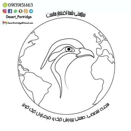 تخم نطفه دار و خوراکی در یزد در گروه انواع تخم ها در یکمیوه -عکس1