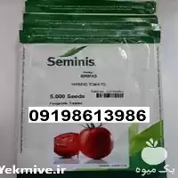 خرید بذر گوجه فرنگی بریویو در گروه خرید و فروش بذر گوجه در یکمیوه