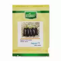 قیمت خرید بذر بادمجان جگوار در گلستان در گروه خرید و فروش بذر بادمجان در یکمیوه