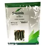 عرضه بذر خیار گلخانه ای در گروه خرید و فروش بذر خیار در یکمیوه