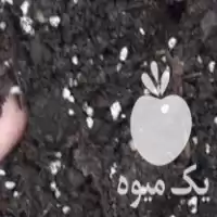 خرید کمپوست ترکیبی کیسه ای در ساری در گروه خرید و فروش کود کمپوست در یکمیوه