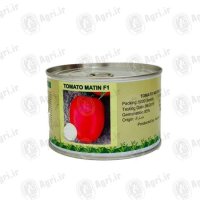 بذر گوجه فرنگی متین در شیراز در گروه خرید و فروش بذر گوجه در یکمیوه