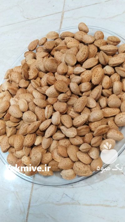 بادام کاغذی در قزوین در گروه خرید و فروش بادام در یکمیوه -عکس1