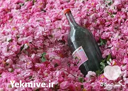 تولید انواع عرقیات و محصولات در کاشان در گروه خرید و فروش انواع عرقیجات در یکمیوه -عکس1