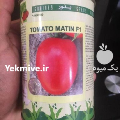 گوجه فرنگی متین در گروه خرید و فروش بذر گوجه در یکمیوه -عکس1