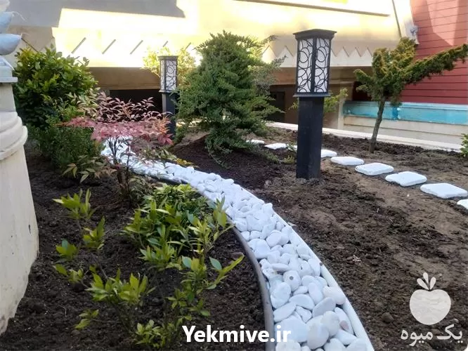 اجرای تخصصی فضای سبز در گروه سازنده در یکمیوه -عکس1