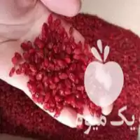 فروش زرشک پفکی پاک شده در رشت در گروه خرید و فروش زرشک در یکمیوه