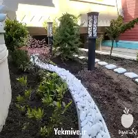 اجرای تخصصی فضای سبز در گروه سازنده در یکمیوه