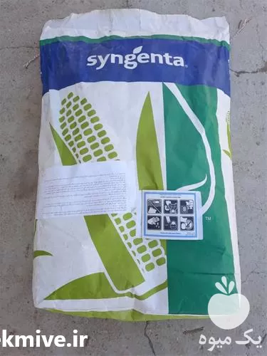 خرید عرضه تهیه بذر ذرت در تهران در گروه خرید و فروش بذر ذرت در یکمیوه -عکس1